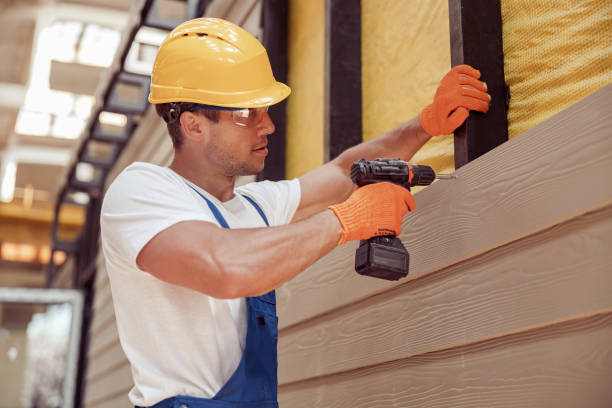 Best Siding Painting and Refinishing  in Fisher, IL